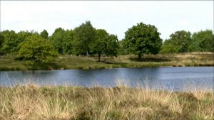 Panasonic HC-X900-drenthe