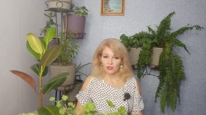 Самые неприхотливые цветы для клумбы