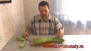 Проверенный сорт кабачков: "Длинный полосатик"