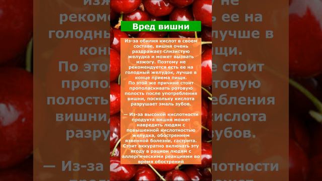 Вред вишни смотреть онлайн