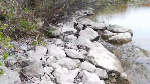 ?БОБРЫ?ХОЗЯЙНИЧАЮТ?НА МОЕМ УЧАСТКЕ?КАК ИЗБАВИТСЯ ОТ БОБРОВ?BEAVERS LIVE ON MY SITE смотреть онлайн