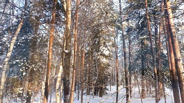 ПОДНЯЛ СТАЮ тетерь,умотал рябчика. смотреть онлайн