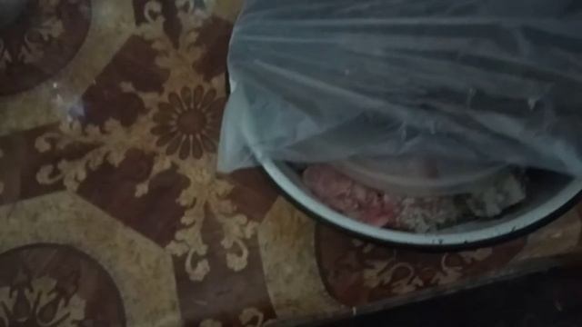 солим толстолоба ч1 смотреть онлайн