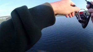 Ловля окуня на микроджиг. Fario NT Morm. Рыбалка на Алтае.