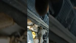 Рено доккер, замена грм.