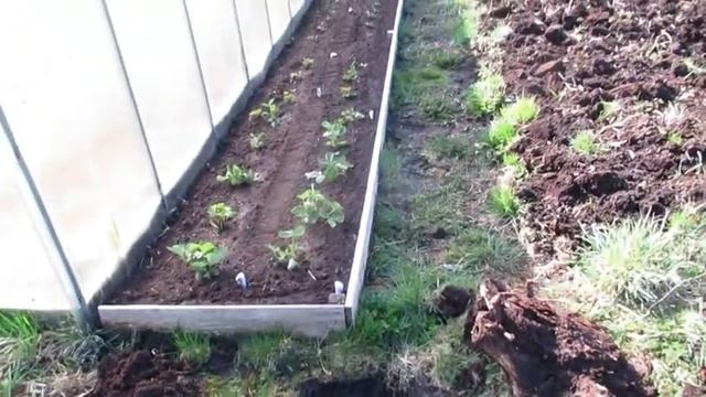 Наша дача -2020 г. Май - внучата приехали, делаем скворечник и отдыхаем. смотреть онлайн