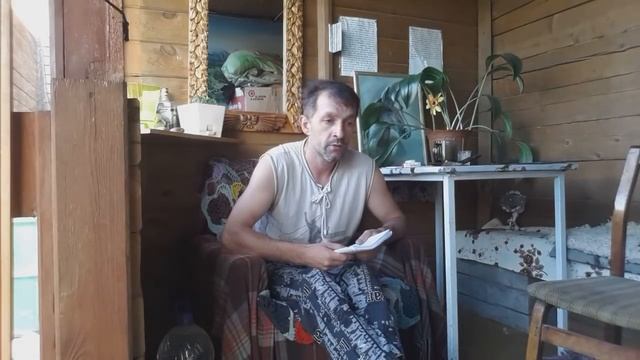 СГЛАЗ ЖИВОТНЫХ