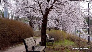 Прибыв на ложный вызов к богачу, врач «Скорой» окатила его помоями, а когда в наказание её перевели