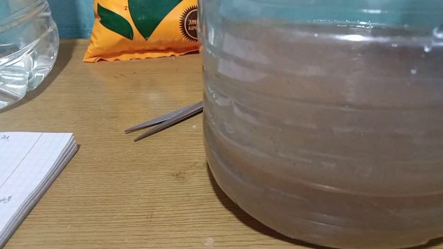 ✓🍉Как сделать супер🌱 удобрение для растений зимой🌱🌿🌲 смотреть онлайн