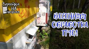 Весенняя обработка пчел и расширение гнезда! #пчёлы #пасека #деревня
