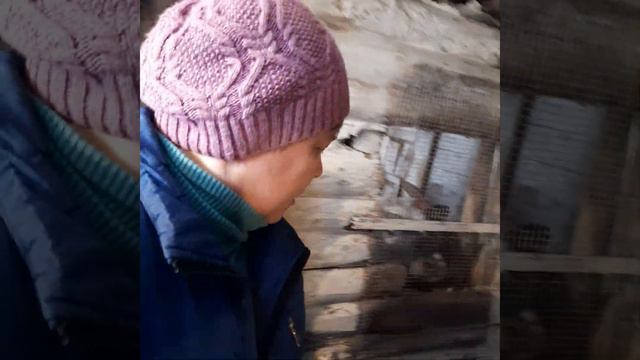 Погода не лётная.Петя живёт с Яшей.И проспали Новый год.