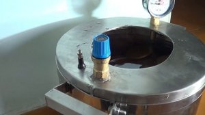 Домашняя тушенка из мяса дикого оленя, в автоклаве НЕФОР, ГОТОВИМ САМИ.