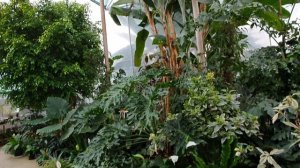 Богатые Сабы. Обзор. Привлекательность для инвестиций в объекты туризма и для жизни  17.10.20г