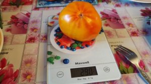 Томат - Полосатое чудо  .