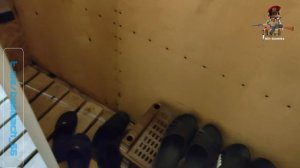 05.07.24 Просто блиндаж нашей пехоты на СВО