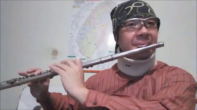 鳳飛飛-巧合-長笛Flute練習01(cover-by 任閒騎miraclemaryboy)降E調 смотреть онлайн