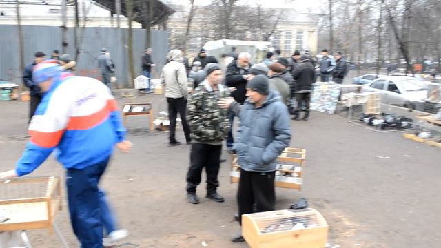 Животные в Донецке: кролики, голуби, коты смотреть онлайн