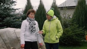 Посадка Роз ПОЗДНЕЙ ОСЕНЬЮ / питомник ЕЛЕНЫ ИВАЩЕНКО