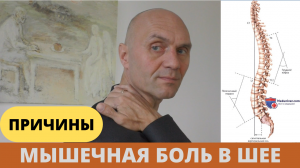 МЫШЕЧНАЯ БОЛЬ В ШЕЕ. ПРИЧИНЫ И ПРОФИЛАКТИКА (часть 1)
