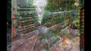 Необычный огород