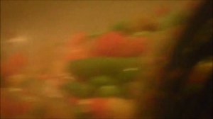 как готовить мексиканская смесь ха как готовить мексиканскую смесь эпик-влог