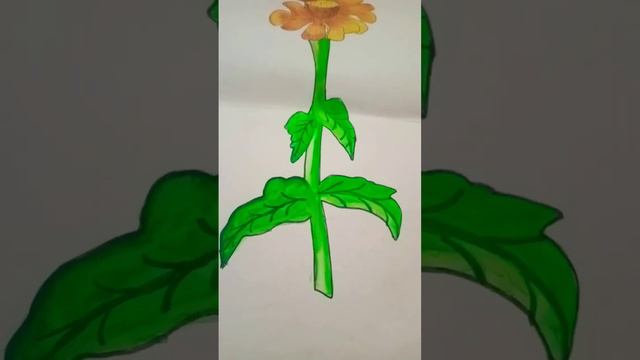 Hibiscus flowers 🌺🌺||#Hibiscus  #art  ||How to draw hibiscus flower  drawing||easy step by step||