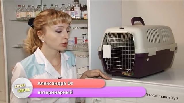 Перевозка животных на транспорте