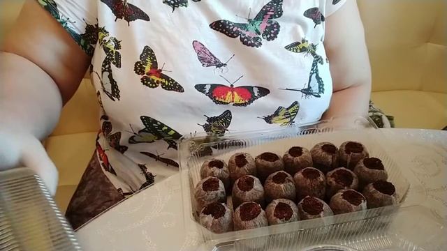 Готовлюсь к посадке. Обеззараживаю кокосовые и торфяные таблетки.