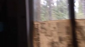 Заброшенный лагерь "Лесная Сказка" Владимирская обл. Александровский р-он.Близ д. Недюревка.