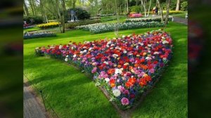 Нидерланды ( Holland). Кёкенхоф ( Keukenhof)- королевский парк цветов.