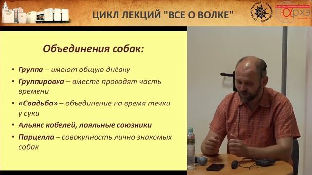 Андрей Тупикин Бездомные собаки глазами биолога