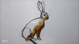 КАК НАРИСОВАТЬ ЗАЙЦА ! Рисуем зайчика поэтапно , how to draw a hare