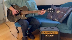 Washburn EA20 Black (EA20B) Festival Series. 1992.