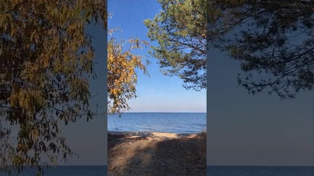 Мотодень на Honda CBF600SA и шашлык у моря смотреть онлайн