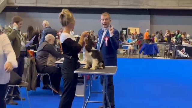 Ингвар 🐶 - выпускник из питомника Людмила Чикотазанял ПЕРВОЕ МЕСТО🥇ЛУЧШИЙ ЩЕНОК на выставке в Женев