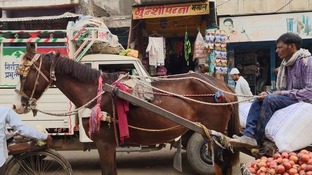 Я был в Индийской деревне смотреть онлайн