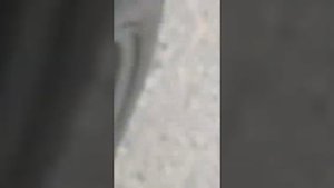 Golf 3. При повороте руля слышен посторонний шум. Апрель 2022