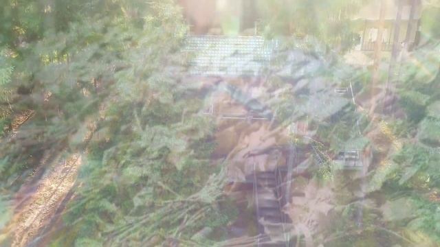 Аэросъемка База отдыха "Берендеево Царство" Валдай смотреть онлайн