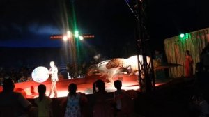 Динозавры в цирке|СМОТРЕТЬ ВСЕМ!!!