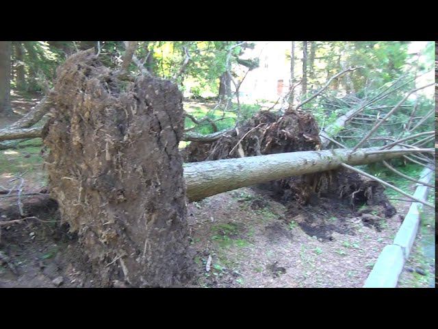 08.2020 Владивосток. Санаторий Океанский.Тайфун Майсак 3 09 2020