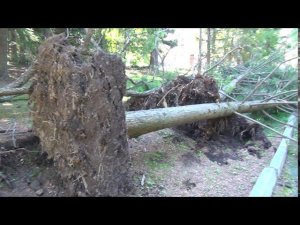 08.2020 Владивосток. Санаторий Океанский.Тайфун Майсак 3 09 2020