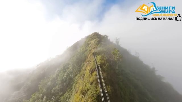 Как Перестать Страдать и Превратить Свою Жизнь в Рай, Даже Если Кажется Что Ты в Аду?! | Никошо смотреть онлайн