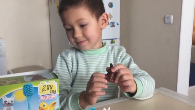 Lego Duplo. Домашние животные 10838 смотреть онлайн