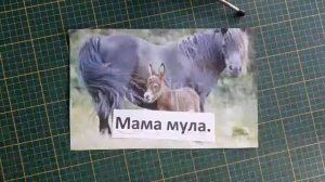 Учись читать, малыш! Шаг 15 2 Родители фантазеры, новые слова и рассказы