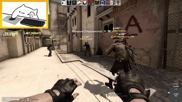 СТРИМ ПО КСГО?ВОЗВРАЩАЕМ БЕРКУТА И АПАЕМ ГЛОБАЛА? смотреть онлайн