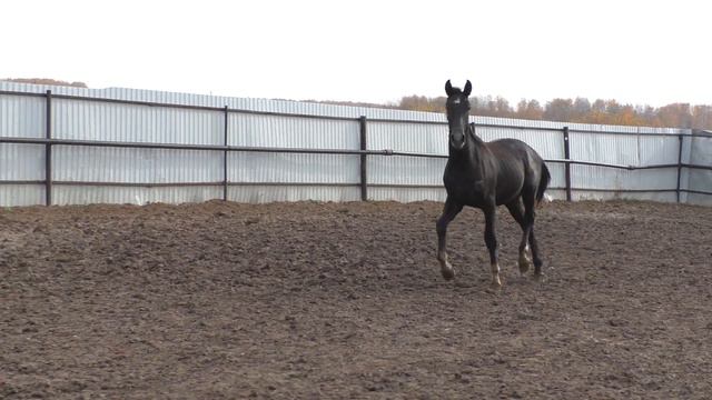 Калаш смотреть онлайн
