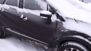 Renault Kaptur Звук двигателя на холодную.Ответ Рено Россия