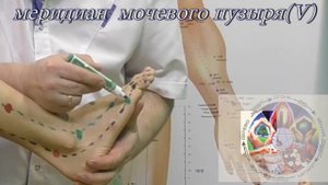 Секреты китайской медицины (67). Точка Шу гу. Меридиан мочевого пузыря V65.