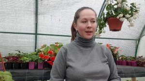 Как сохранить бегонии зимой? Осенняя подготовка.