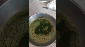 Алое - что можно сделать дома из этого чудесного растения.